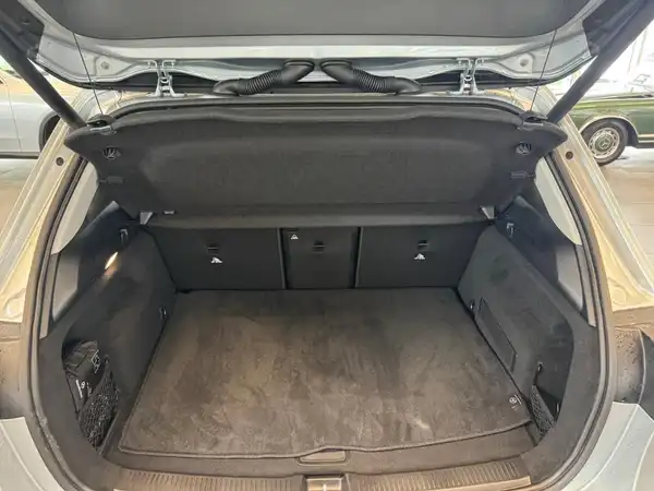 MERCEDES-BENZ B 220 d (14/21)