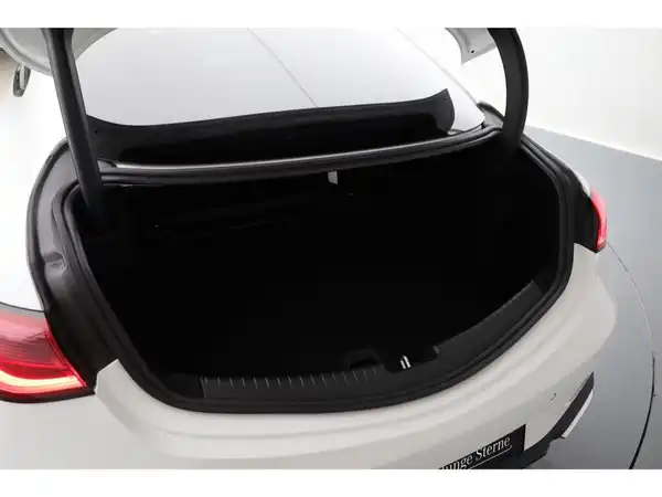 MERCEDES-BENZ CLE 220 d (20/22)