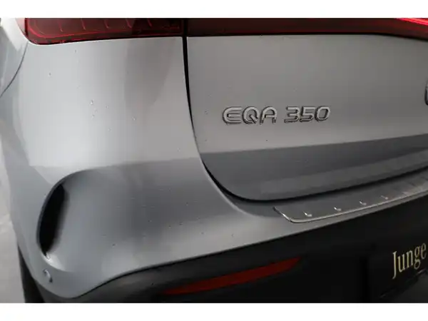 MERCEDES-BENZ EQA 350 4M (22/26)