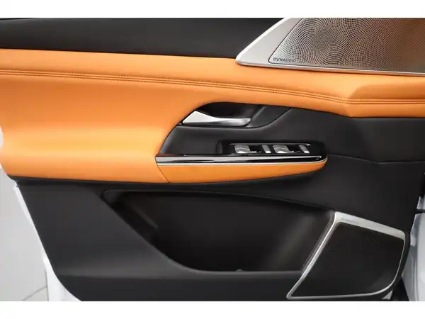 XPENG G9 AWD Performance Modell 24 (10/30)